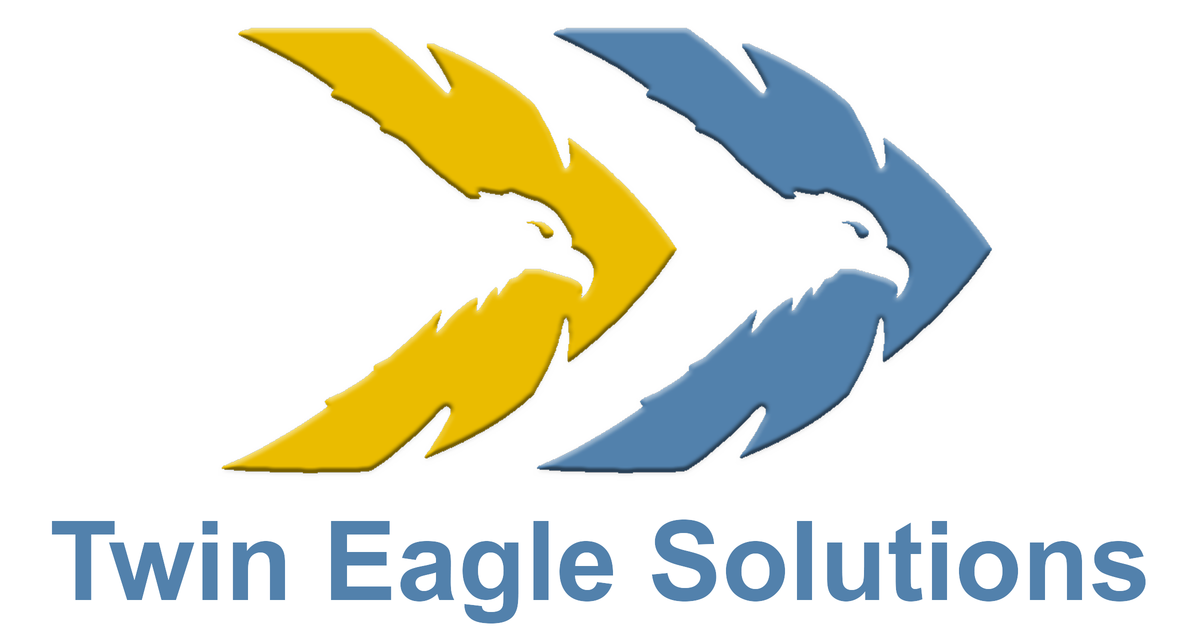 Twin Eagle Solutions