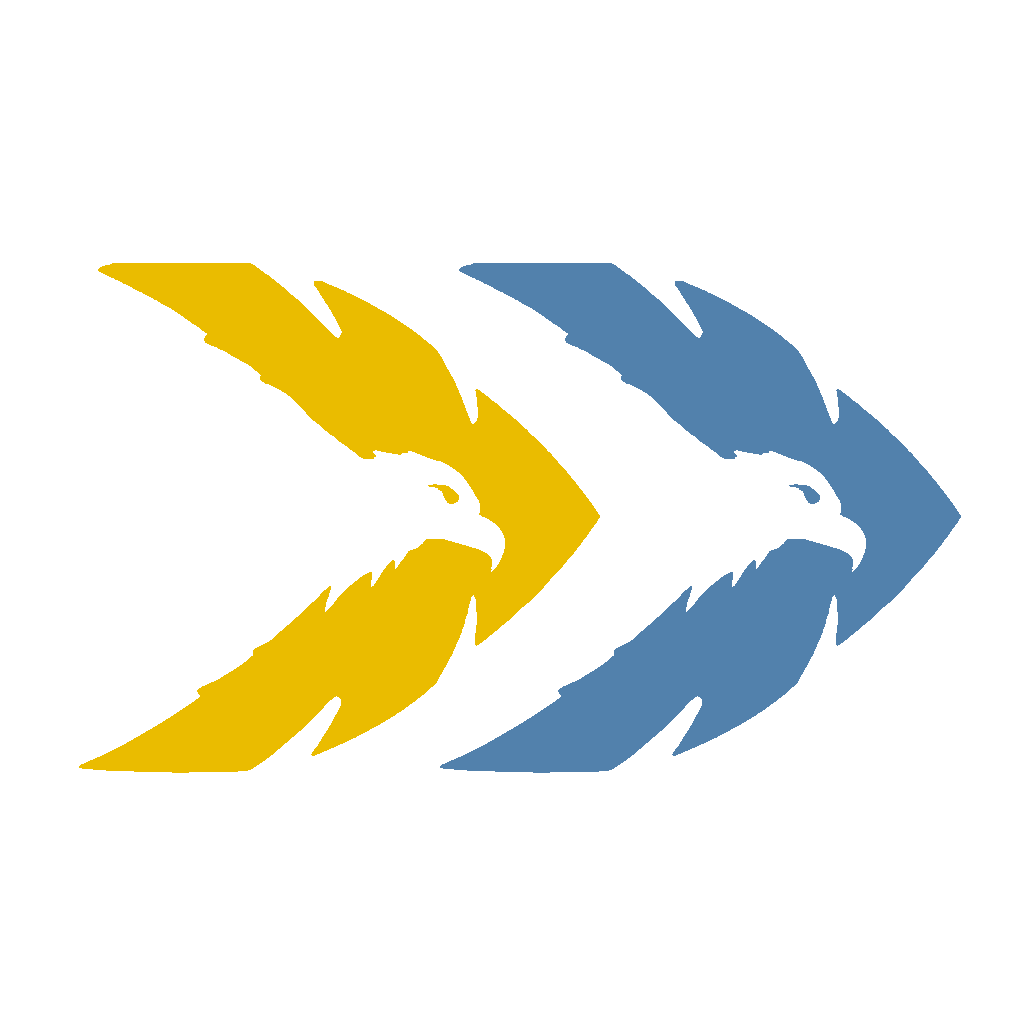 Twin Eagle Solutions