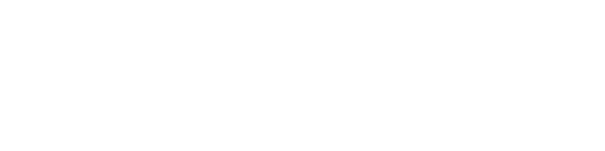 Viper Imaging logo